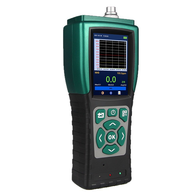 Portable Gas Detector handheld host